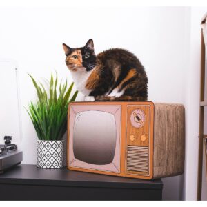 Park & Bench Tabby Telly Timber Cat Scratcher - Orange