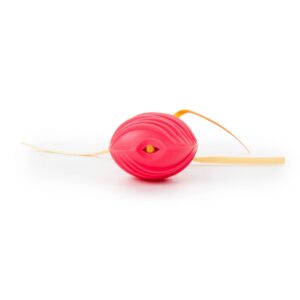 SmartyKat Crazy Cruiser Electronic Motion Cat Toy