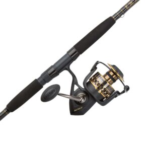 Penn BTLII8000102H Battle II HT100 Saltwater Spinning Fishing Reel and 10 Foot Aluminum Oxide Rod Combo, Bloack