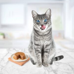 Blue Buffalo Tastefuls Adult Cat Chicken Entree Pate Wet Cat Food - 3oz