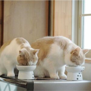 Necoichi Raised Cat Food Bowl