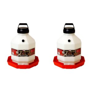 Little Giant PPF5 5 Gallon Automatic Poultry Waterer for Chickens, Red (2 Pack)