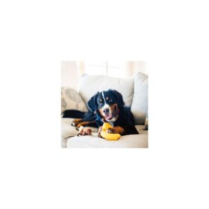 ZippyPaws - Zoo Friends Burrow, Interactive Squeaky Hide and Seek Plush Dog Toy - Monkey 'n Banana
