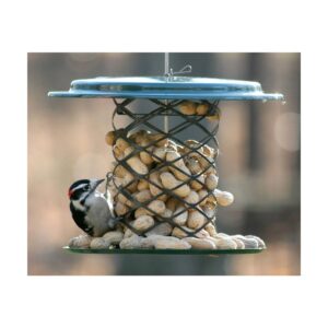 Birds Choice Whole Peanut Feeder - Green
