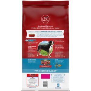 Purina ONE Joint Health Dry Dog Food - 8lbs
