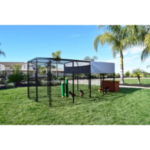 Rugged Ranch High End Hen Elevated 10 Pound PVC Poultry Feeder and Mounting System for Any Style of Coop, Green (2 Pack)