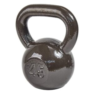 Everyday Essentials 45 Pound Full Body Fitness Exercise Strength Training Free Weight Kettlebell Weight Equipment for Home and Gym Workouts