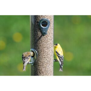 Droll Yankees Classic The Executive B-72 Bird Feeder