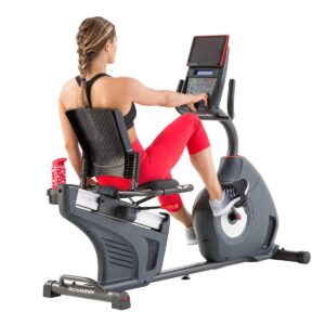 Schwinn 270 Recumbent Exercise Bike - Silver