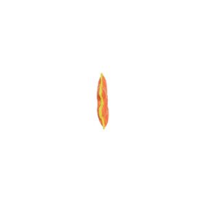 DuraForce Gear Ring Dog Toy - Orange - M/L
