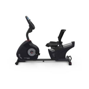 Schwinn 270 Recumbent Exercise Bike - Silver
