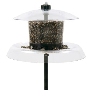 Droll Yankees Jagunda with Auger Squirrel Proof Platform and Hopper Feeder