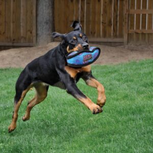 KONG Ballistic Tug Dog Toy - Colors May Vary - L