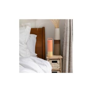 Welly Traveler 18oz - Coral