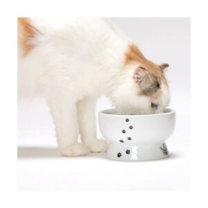 Necoichi Raised Cat Water Bowl