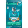 Purina ONE Sensitive Skin and Stomach Wet Cat Food - 22lbs