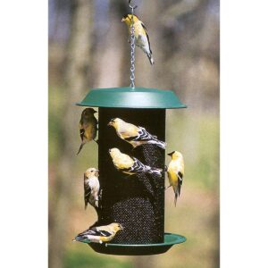 Woodlink 24501 Magnum 4-Quart 5-Pound Nyjer Thistle Seed Hanging Screen Bird Feeder, Dark Green