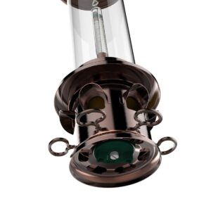Droll Yankees Oil Rubbed Squirrel X Proof Bird Feeder - Bronze