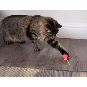 SmartyKat Crazy Cruiser Electronic Motion Cat Toy