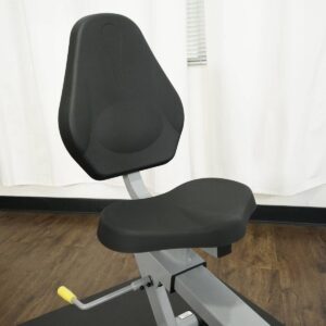 Sunny Health & Fitness Cross Training Magnetic Recumbent Exercise Bike