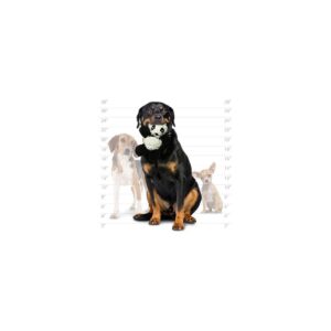 Mighty Microfiber Ball Panda Dog Toy - M