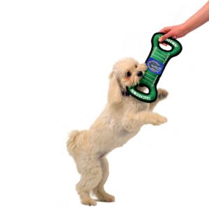 NCAA Florida Gators Field Dog Toy