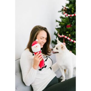Pearhead Santa Paws Dog Toy
