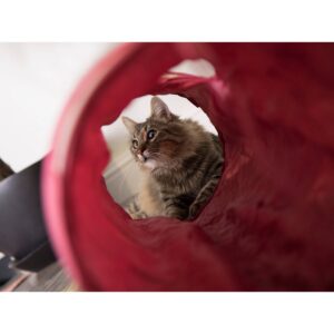 SmartyKat Scratch Up Hanging Single Corrugate Cat Scratcher - 4pk