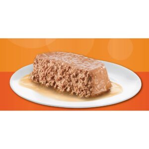 Iams Perfect Portions Grain Free Paté Chicken & Tuna Recipes Premium Wet Cat Food - 2.6oz/12ct Variety Pack