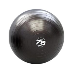 Escape Fitness Steadyball Pro Inflatable Exercise Workout Ball Equipment for Home or Gym Balance and Strength Gain, 75 Centimeters/28.5 Inches (Black)