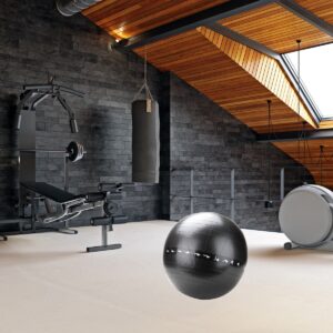 Mind Reader Anti-Burst Heavy Duty Printed Yoga Pose Ball with Quick Pump, Black, 65 CM