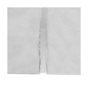 Caravan Canopy V-Series 10 x 10 Foot Tent Sidewalls (2 Pack)