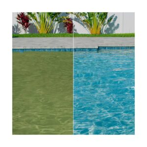 Clorox Algae Eliminate