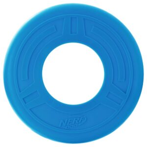 NERF Flyer Dog Toy - Opaque Blue
