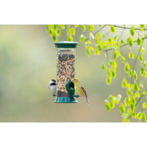 Droll Yankees New Generation 8" Sunflower/Mixed Seed Feeder - Green