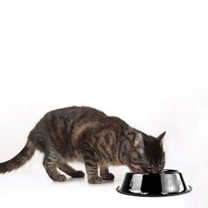Platinum Pets Embossed Non-Tip Cat/Dog Bowl - Midnight Black - .75 Cup