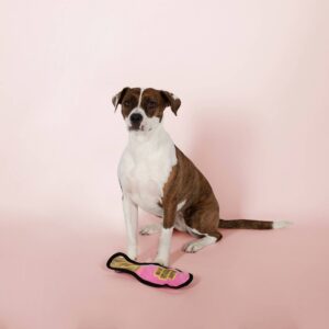 PetShop by Fringe Studio Pink Champagne Durable Plush Dog Toy