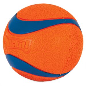 Chuckit! Ultra Ball Dog Toy - L