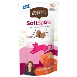 Rachael Ray Nutrish Soft Spots Salmon Cat Treat - 2.2oz