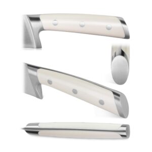Cangshan S1 Series 8 in. Chef's Knife