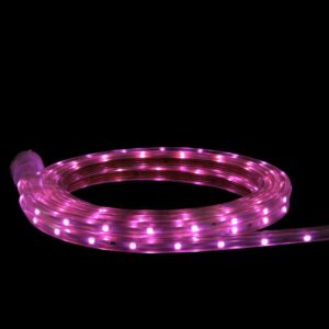 CC Christmas Decor 10 ft. 60-Light Pink LED Outdoor Christmas Linear Tape Lighting
