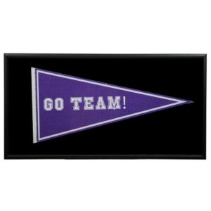 Pinnacle Pennant Display Case 13.7 in. x 7.7 in. Black Picture Frame