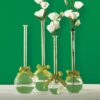 Two's Company 4-Sizes Sleek and Chic with Sage Green Ribbon Includes Clear Bubble Vases ( Set of 4)