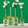 Two's Company 4-Sizes Sleek and Chic with Sage Green Ribbon Includes Clear Jug Vases (Set of 4)