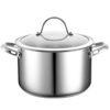 Cooks Standard Classic 6 qt. Stainless Steel Stock Pot with Glass Lid