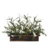 D&W Silks 30 in. Indoor White Phlox Flowers in Rectangle Wooden Planter