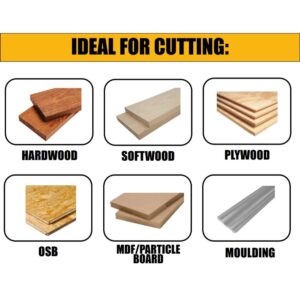 DEWALT 10 in. Construction Saw Blade (2-Pack)