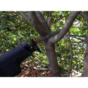 DIABLO 9 in. 5 TPI Fleam Ground/Pruning Reciprocating Saw Blade