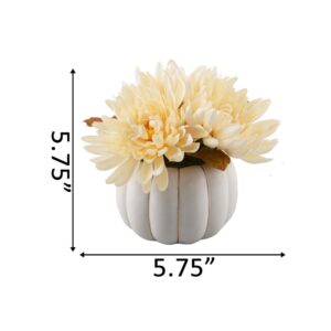 Flora Bunda 5 in. H Fall Harvest Artificial Plant Cream White Faux Mums in 4 in. Cream Ceramic Pumpkin Pot with Gold Line