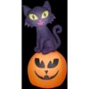 Gemmy 5.5 ft. H Cat On Pumpkin-SM Scene Halloween Inflatable